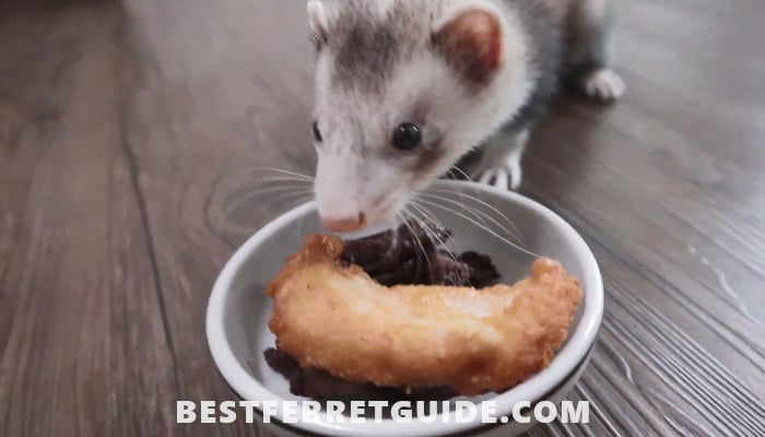 What do Ferrets Like to Eat