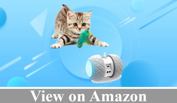 Interactive Robotic Self Rotating Ball review