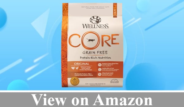 Wellness CORE Natural Grain-Free Dry Cat Food review
