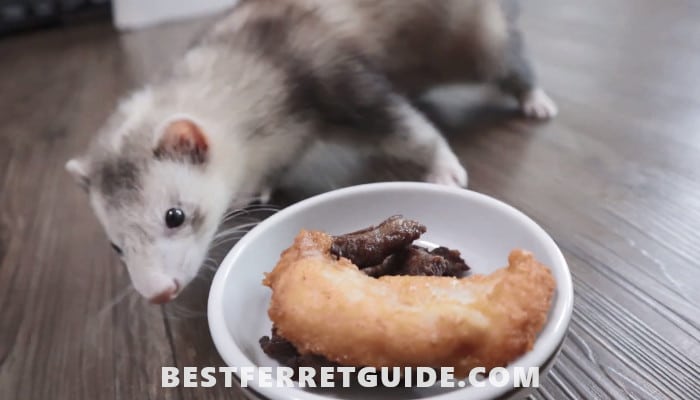 How to Make Homemade Ferret Food
