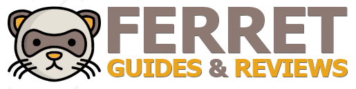 Best Ferret Guide